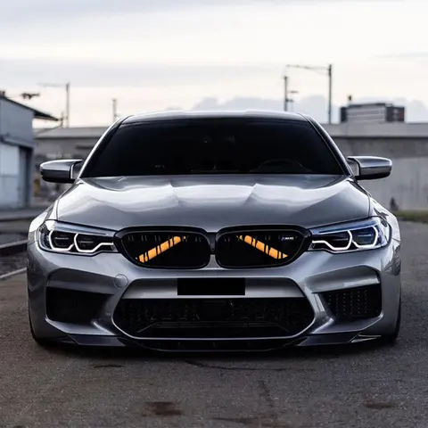 자세히 둘러보기 BMW F20 F21 F22 F23 F30 F31 F32 F33 F44 F45 1 2 3 4 시리즈 M 스포츠 전면 신장 그릴 커버 프레임 트림 스트립 스타일 스티커
